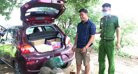 Vận chuyển 6 con Tê Tê trên ô tô