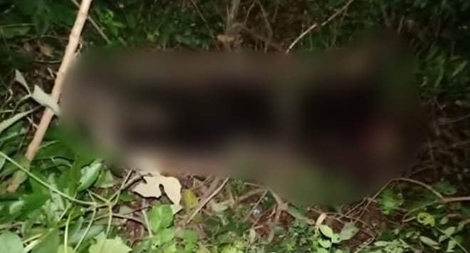 Phát hiện thi thể nữ giáo viên sau một tháng mất tích