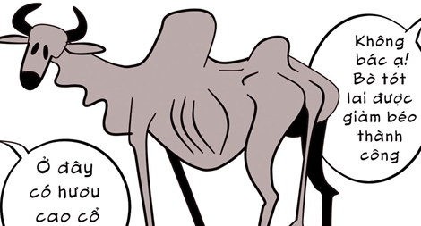 Giảm béo thành công