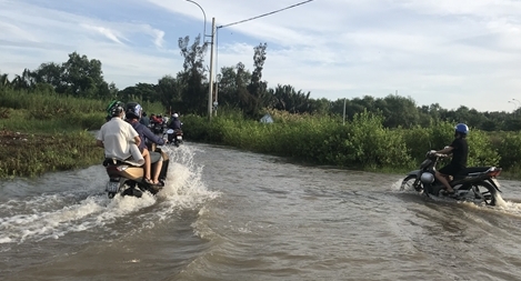 Khóc cười mùa triều cường, triều dâng