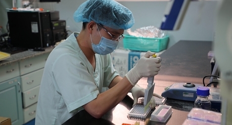 Việt Nam bắt đầu thử nghiệm vaccine COVID-19 trên khỉ