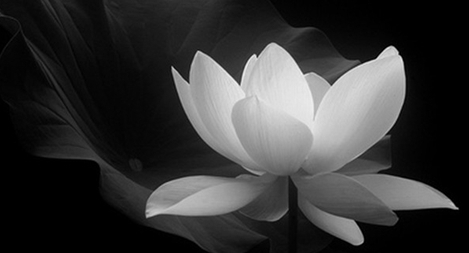 Đại tá Nguyễn Danh Khoát từ trần