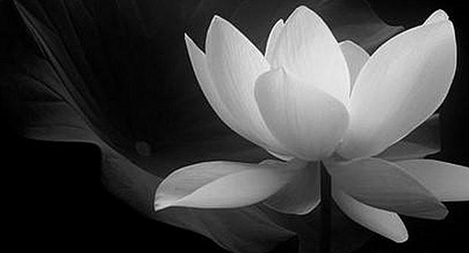 Đại tá Nguyễn Đình Thành từ trần