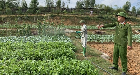 Chuyện cảm hóa người lầm lỗi ở Trại tạm giam Công an tỉnh Phú Thọ