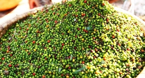 “Giải cứu” thành công hơn  60 container hồ tiêu mắc kẹt tại Nepal