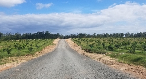 Doanh nghiệp tự ý xây dựng trang trại chăn nuôi trên đất rừng