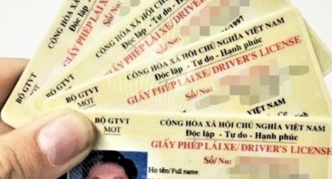 Thêm một trang web giả mạo  tra cứu thông tin giấy phép lái xe
