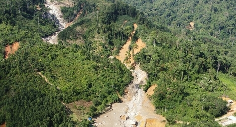 Sạt lở nhiều điểm rừng tự nhiên tái sinh ở đầu nguồn