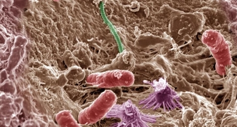 Thế giới dưới bàn chân