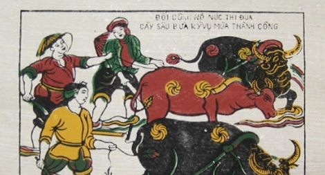 Đón Tết năm trâu, rủ nhau đụng lợn