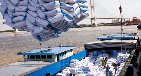 Tín hiệu tích cực từ thị trường xuất khẩu gạo