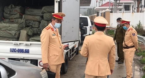 Dùng xe mang biển số giả để vận chuyển 2,5 tấn nầm lợn  