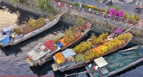 Bỏ thì thương, vương thì tội...