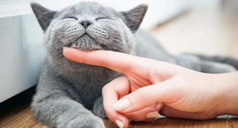 Có xử phạt mới giúp nâng cao ý thức