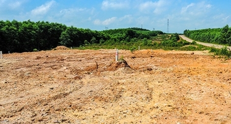 Xã tự phân lô đất trồng rừng thành đất nền