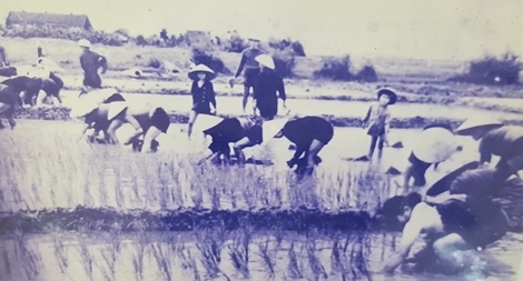 Gió Đại Phong vẫn thổi miên man bờ cát trắng 