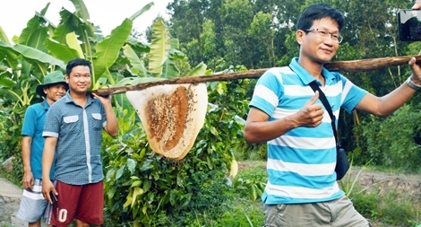 Du lịch nông nghiệp giúp nông dân cải thiện thu nhập