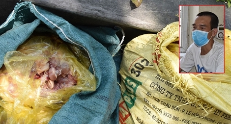 Thu gom thịt, xương, nội tạng gà ôi thiu bán cho các cơ sở chế biến thực phẩm