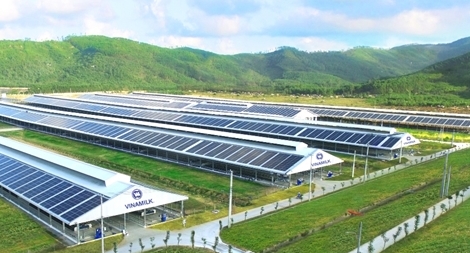 Siêu dự án trang trại của Vinamilk tại Lào sẽ “cho sữa” vào đầu năm 2022
