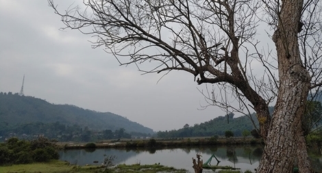 Du khảo đồi Lai Li Lai Láng