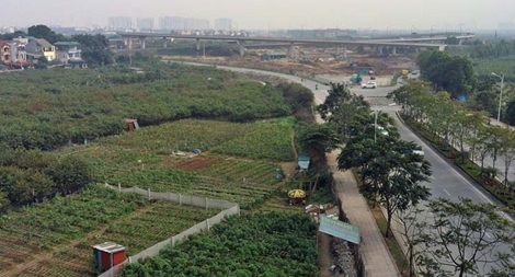 So sánh giá đất lúc trúng đấu giá với giá thị trường khi bán là khập khiễng