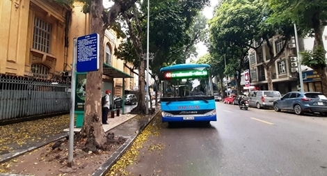 Giảm tần suất hoạt động xe vận tải, tạm dừng sát hạch lái xe