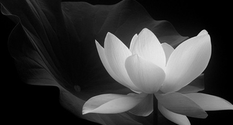 Trung tá Trần Ngọc Lâm từ trần