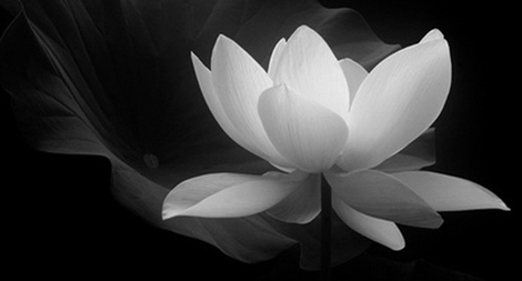 Thiếu tướng Lê Duy Hải từ trần