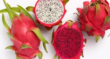 Thanh long Việt Nam đủ tiêu chuẩn xuất khẩu sang Australia