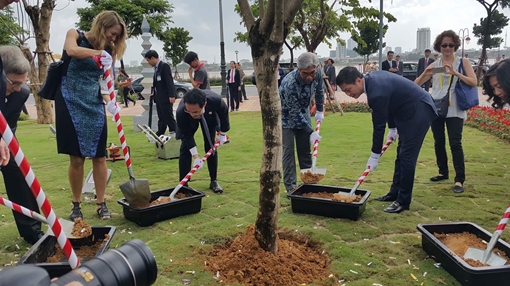 Ngắm các bức tượng do các nền kinh tế APEC đặt tại Đà Nẵng  