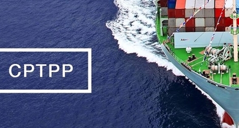 CPTPP chính thức có hiệu lực 