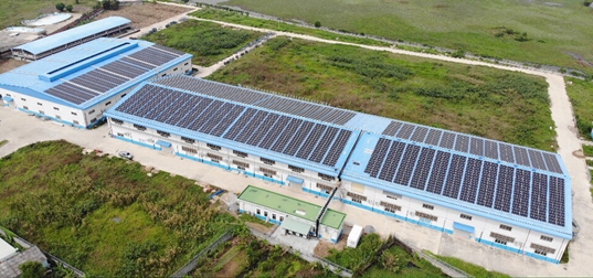 Việt Nam có hơn 20 dự án điện mặt trời trong năm 2018 