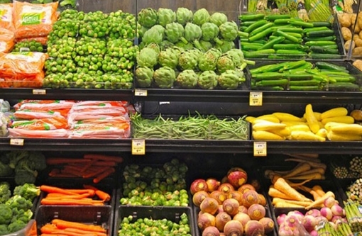 Học cách kiểm nghiệm chất lượng nông sản từ Nhật