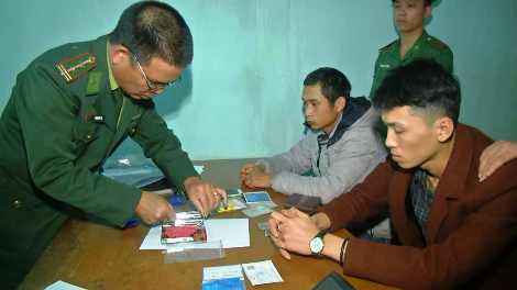 Ném ma túy vào vườn chuối nhưng vẫn không thoát thân