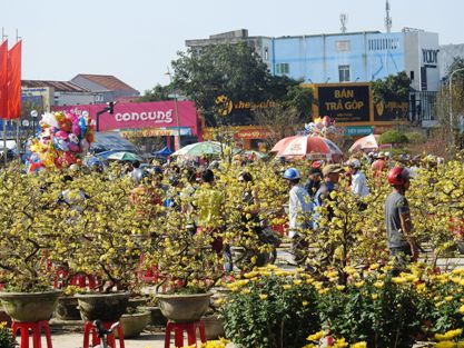 Quảng Trị tấp nập chợ hoa ngày 29 Tết