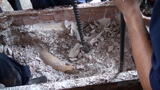 Phát hiện container chứa hơn nửa tấn ngà voi