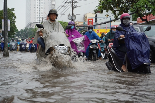 Mưa lớn lúc rạng sáng, đường ngập, cây gãy đổ