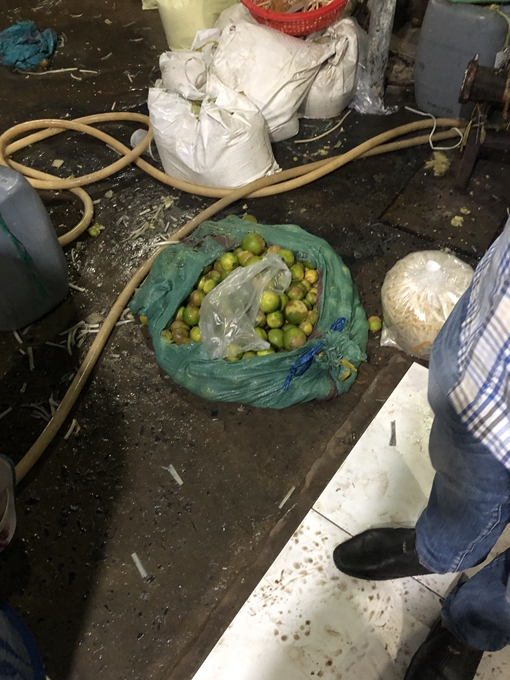 Phát hiện 2 tấn ngó sen, chuối bào ngâm hoá chất 