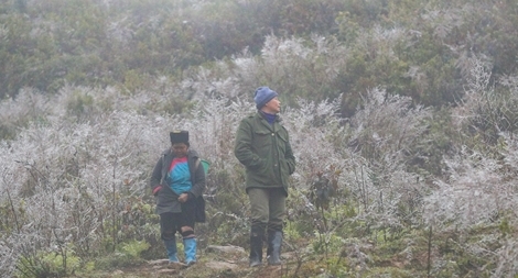 Nhiệt độ xuống âm, khách du lịch ùn ùn kéo lên Sapa đợi tuyết