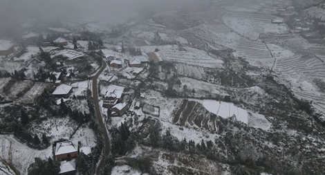 Tuyết rơi phủ trắng Y Tý