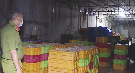 Dùng hóa chất vô cùng độc hại để chế biến cá khô