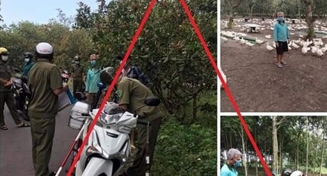 Sự thật vụ việc người đi bơm nước nuôi vịt bị phạt vì vi phạm Chỉ thị 16