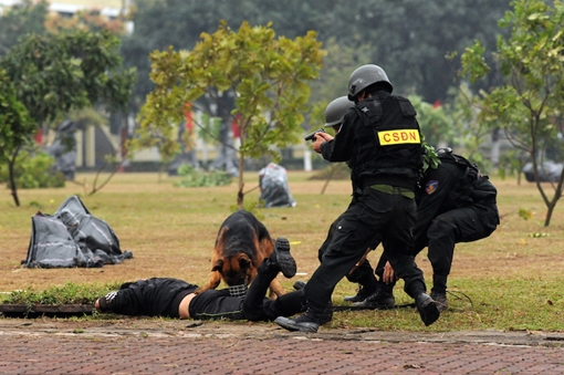 Cảnh sát đặc nhiệm đánh bắt tội phạm ma tuý, giải cứu con tin trên núi cao