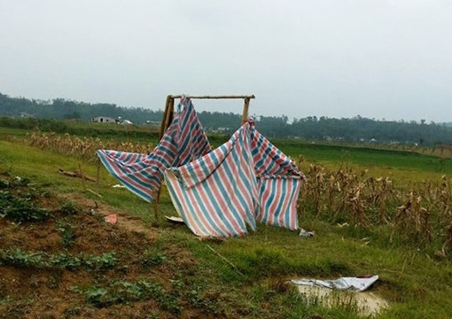 Trú mưa giữa đồng, 12 người bị sét đánh bất tỉnh