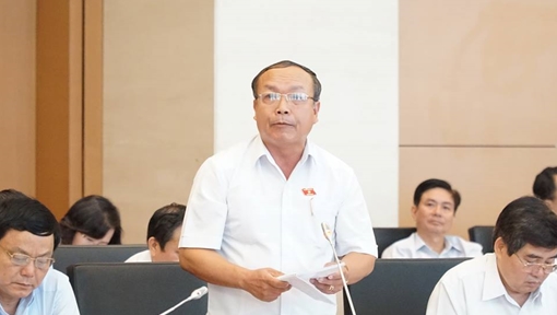 ĐBQH Đinh Duy Vượt: “Riêng tài sản tặng cho chân dài thì chưa bị lộ”