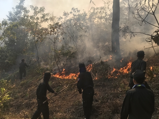 Trung đoàn CSCĐ Đông Bắc huy động cán bộ chiến sỹ tham gia chữa cháy rừng