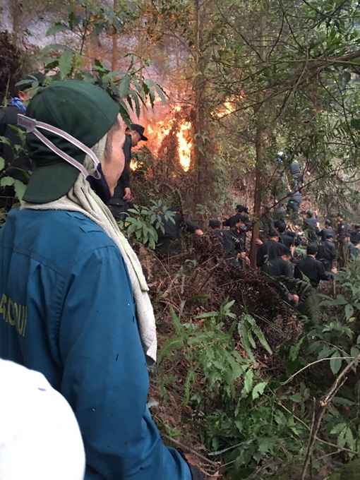 Trung đoàn CSCĐ Thủ đô huy động 100 CBCS chữa cháy rừng phòng hộ Sóc Sơn