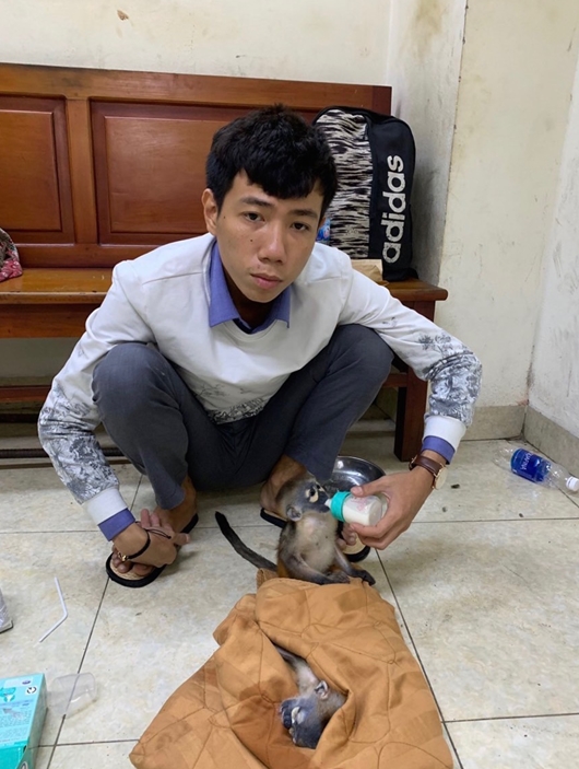 Nhân viên đường sắt nhận ship voọc chà vá chân đen lấy 3 triệu đồng