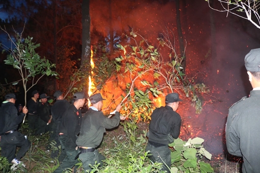 Trung đoàn Cảnh sát cơ động Đông Bắc chống "giặc lửa", cứu rừng tại Quảng Ninh