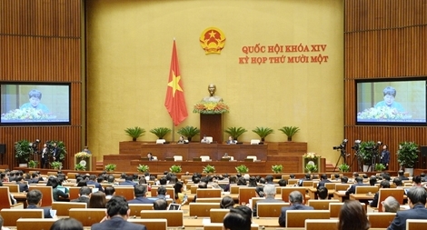 Quốc hội thảo luận ở hội trường về Luật Phòng, chống ma túy (sửa đổi)